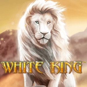 White King