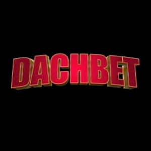 dachbet kaszinó logo