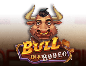 Bull in a Rodeo