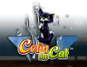 Colin the Cat