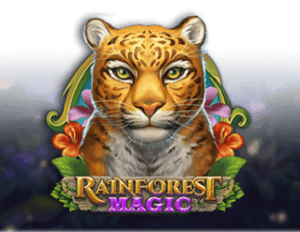 Rainforest Magic