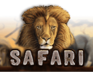 Safari