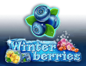 Winter Berries