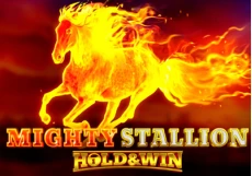 Mighty Stallion Hold&Win