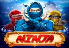 Ninja